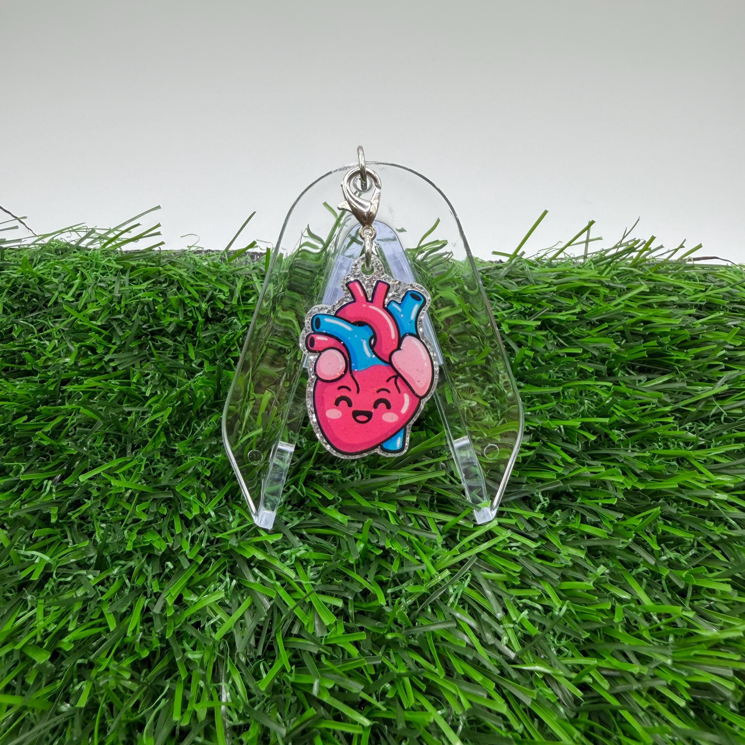 Anatomical Heart Flask - Etsy