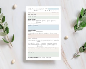 Lactation Consultant Notepad Breastfeeding Session Notes IBCLC Assessment Pad Client Tracker for Baby Feeding Latch | Postpartum Care Tool