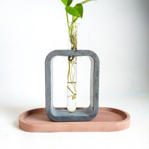 Plant Propagation, Propagation Station, Concrete Decor, Concrete Propagation, Plant Holder, Propagation Vase, Concrete Planter, Vase, Modern