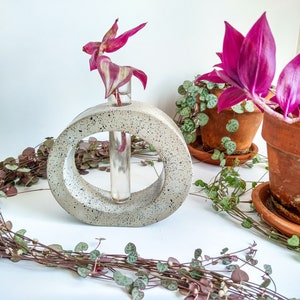Plant Propagation, Propagation Station, Concrete Decor, Concrete Propagation, Plant Holder,Concrete Vase, Minimal Modern Decor, Planter,Vase