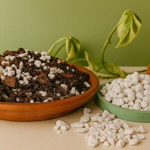 Premium Organic Chunky Soil Mix 2 GALLON      Soil mix, organic soil, well draining potting soil, aroid soil, succulent soil, plant medium