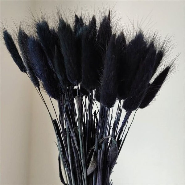 Black Bunny Tails - 60 Stems / Lagurus / Rabbit Tail / Pampas Grass / Black Dried Flowers