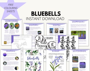 Bluebell Info Pack | Glockenblumen | Bluebell Printable | Frühlingsblumen