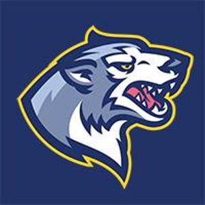 Può includere: Una mascotte di testa di lupo blu e bianca con un contorno giallo. Il lupo ringhia con la bocca aperta e i denti visibili. Gli occhi del lupo sono gialli.