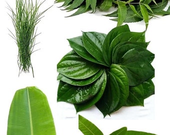 Puja Blätter - Neem, Paan, Mango, Dooba, Kush Blätter alle für Hindu Puja