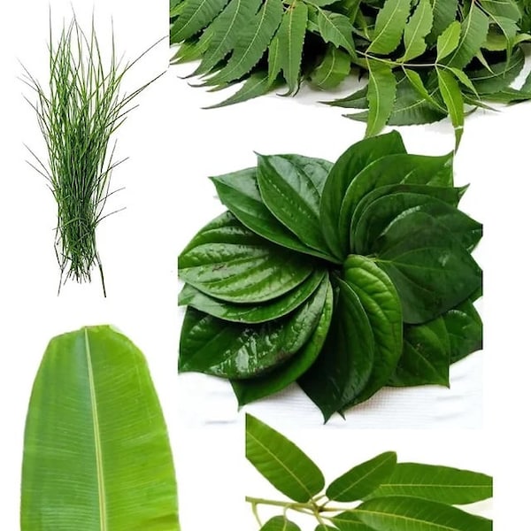 Puja Leaves - Neem , Paan , Mango , Dooba , Kush Leaves all for Hindu Puja