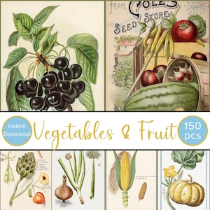 Vintage Vegetables Fruit Wall Collage Kit, Veggies & Fruit Aesthetic Photos 4 x 6 Prints, Vintage Vegetable Decor, 150 Photos, Fruit Decor