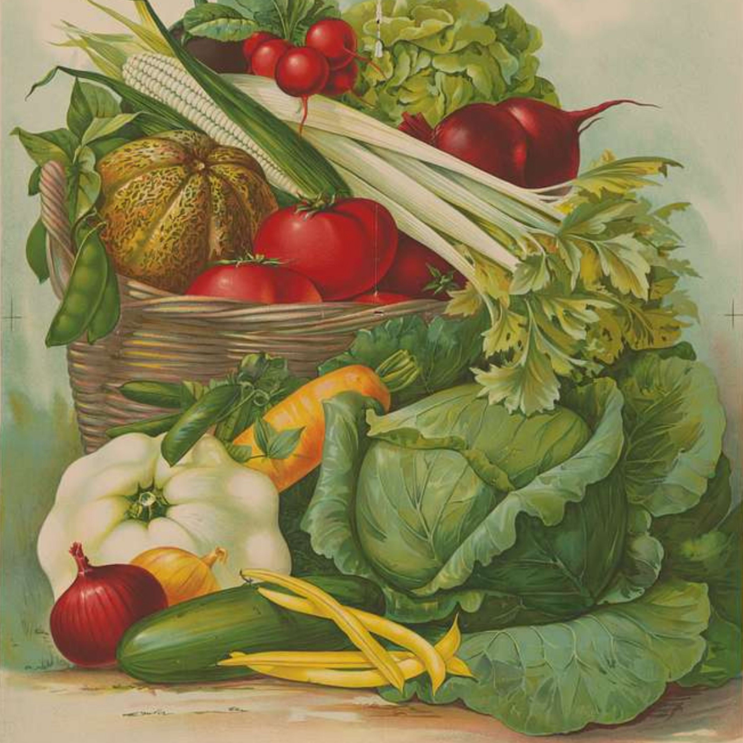 vintage-vegetables-fruit-wall-collage-kit-veggies-fruit-aesthetic