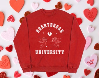 University Sweater, Coquette Aesthetic, Doll core, Valentines sweatshirt, Coquette Clothing, Soft Girl, Cottagecore sweater, Aesthetic Tee,