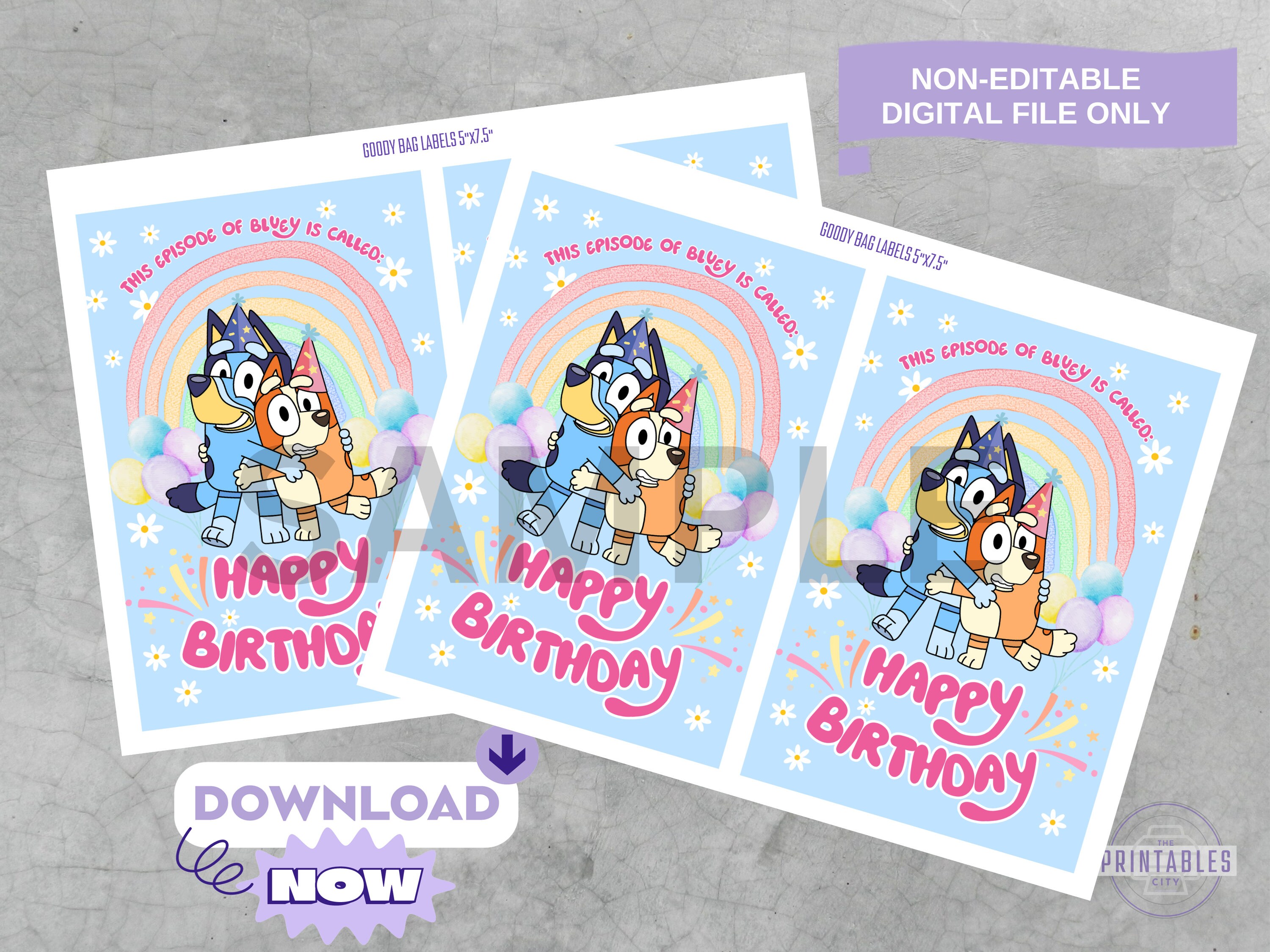 INSTANT DOWNLOAD Bluey Goody Bag Labels, Bluey Birthday Party Decor ...