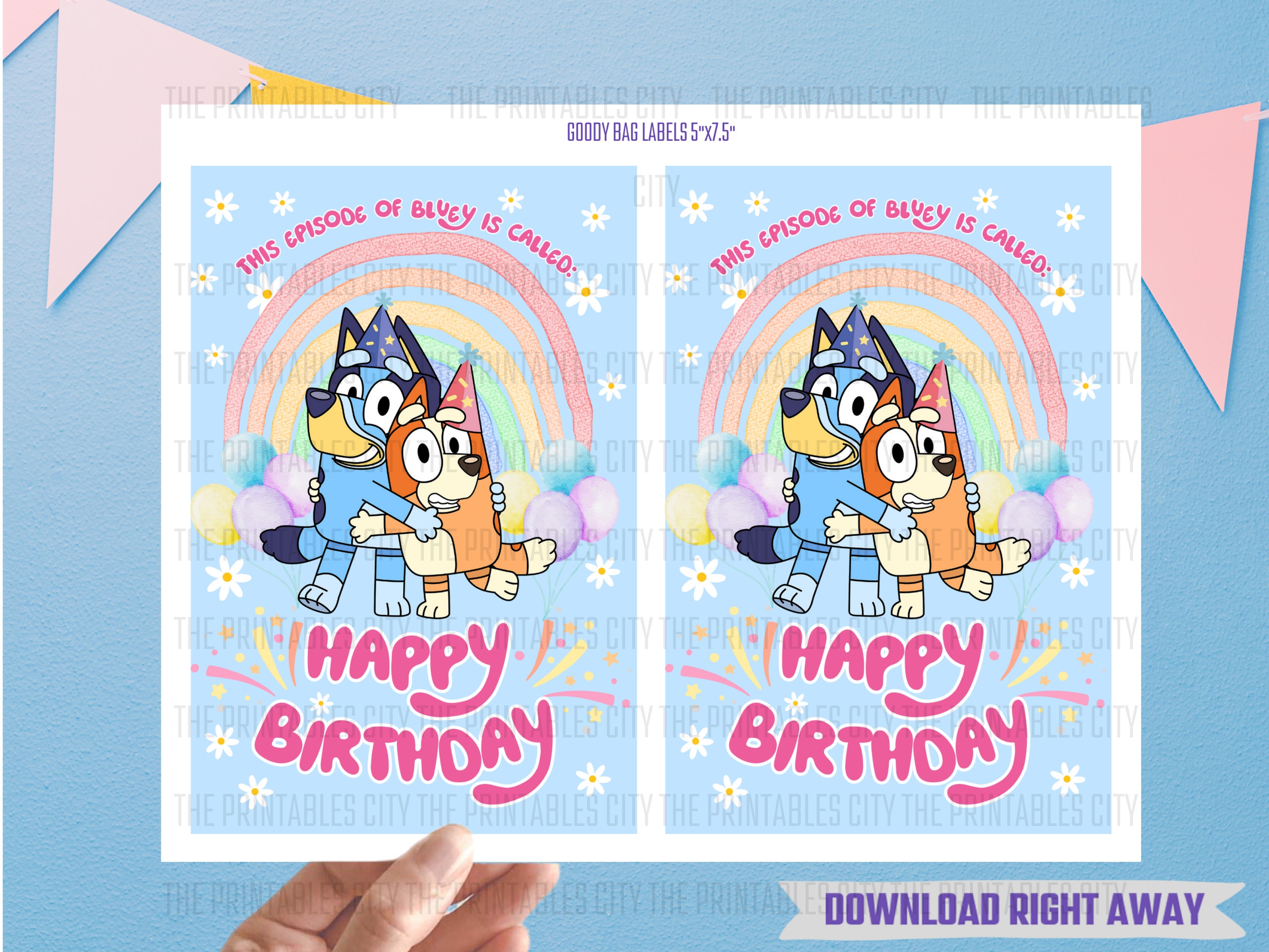 INSTANT DOWNLOAD Bluey Goody Bag Labels, Bluey Birthday Party Decor ...
