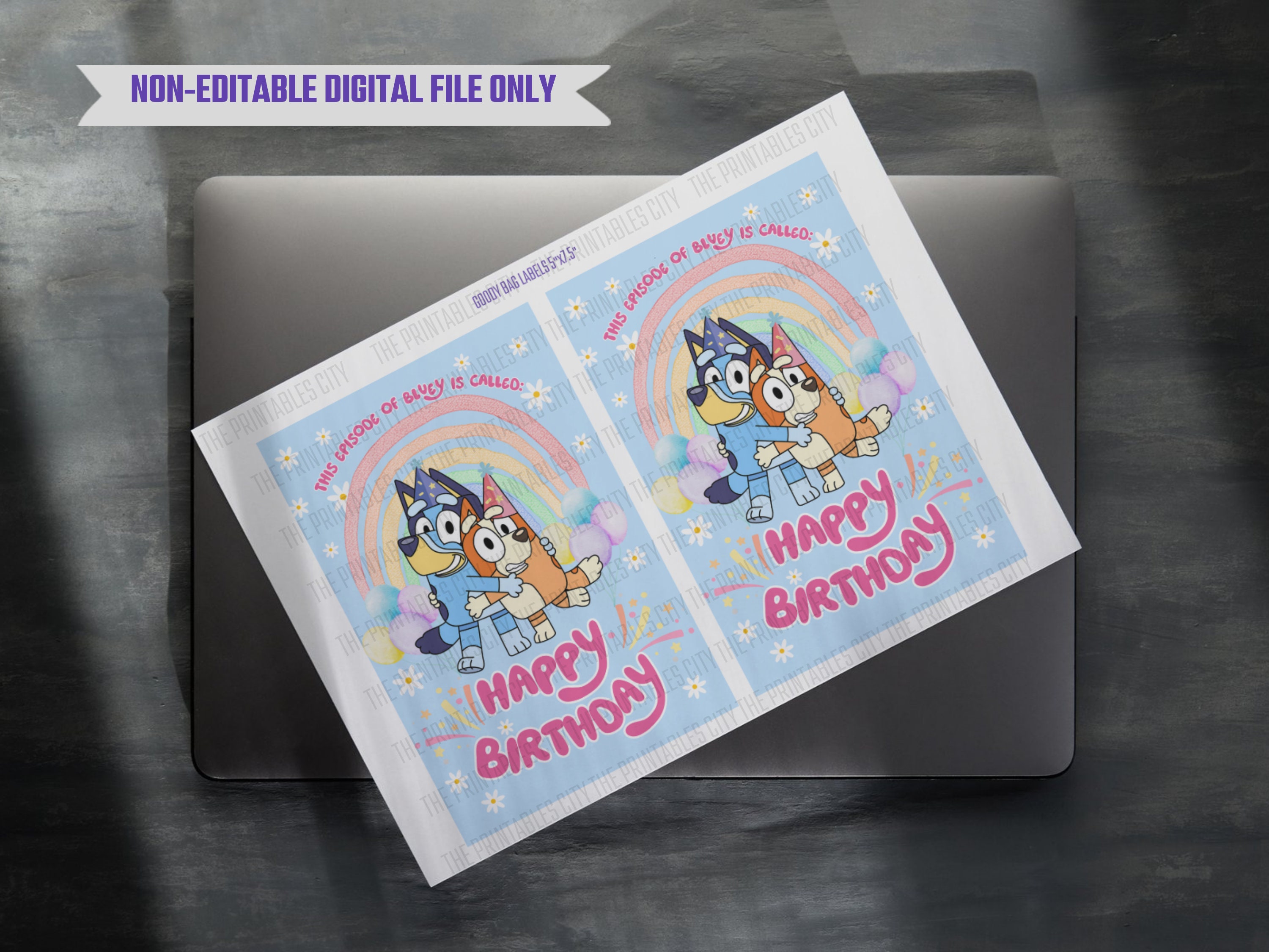 INSTANT DOWNLOAD Bluey Goody Bag Labels, Bluey Birthday Party Decor ...