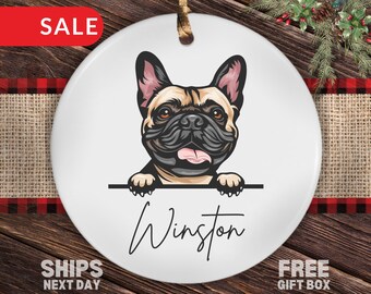 Custom Dog Christmas Ornament, Personalized Dog Christmas Ornament Gifts for Dog Owner Dog Lover Gifts for Dog Mom Dog Mama Christmas Gifts