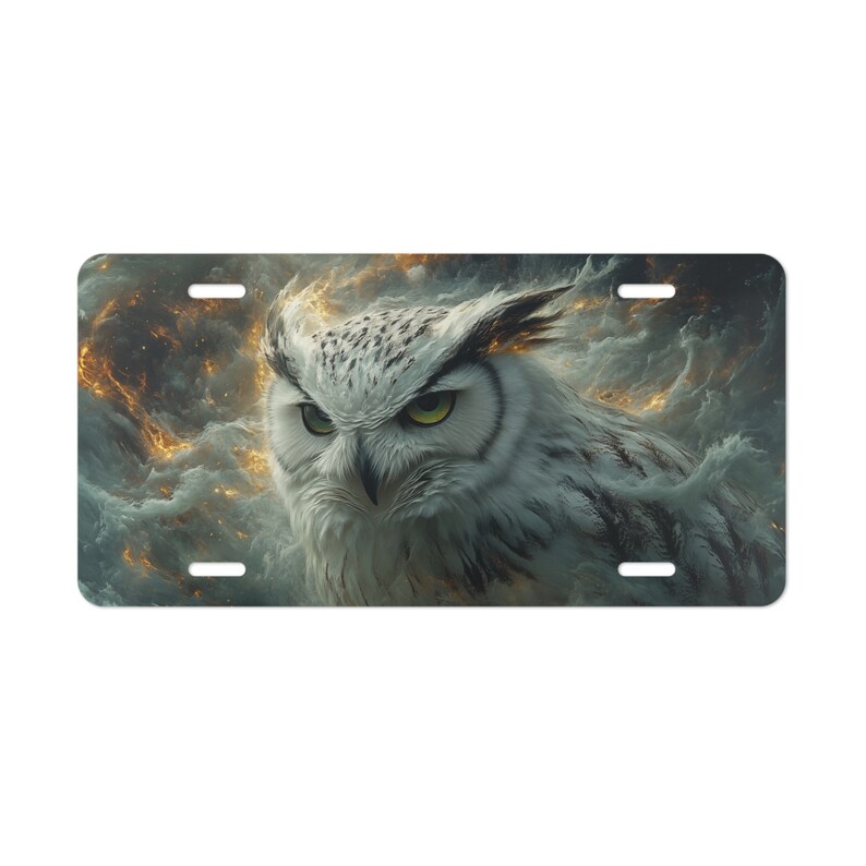 Placa de matrícula delantera para automóviles/camiones/SUV con arte de búho blanco de fantasía - placa de tocador - regalos de búho - decoración de coche de búho - regalo para esposa imagen 2