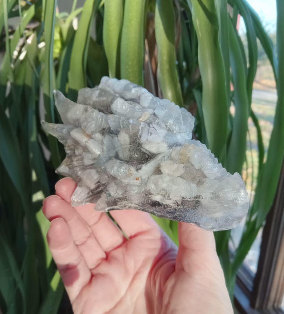 Blue Lace Agate and Angel Aura Quartz Orgonite Dragon