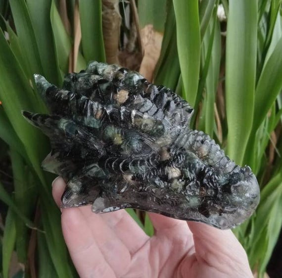 Kambaba Jasper, Smoky Quartz, Black Tourmaline Orgonite Dragon