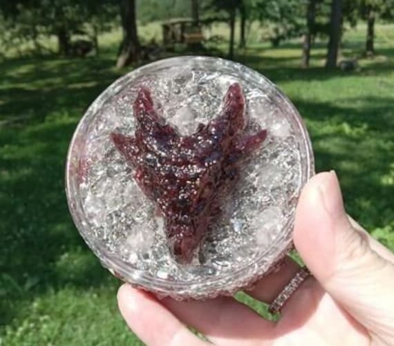 Garnet and Rose Quartz Dragonhead Orgonite