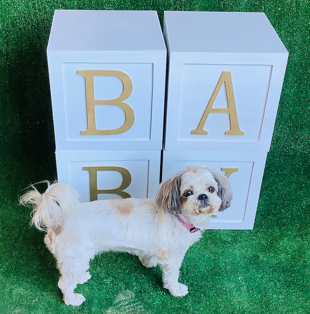 Large Wood Blocks Baby Shower Blocs ABCD Blocks Large Wood Etsy