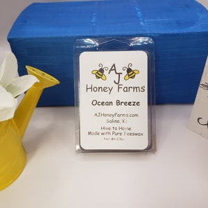 Ocean Breeze Scented Beeswax Melts | AJ Honey Farms LLC | Kansas-Made | All-Natural, Fresh & Invigorating Aroma for Home | 6-Pack