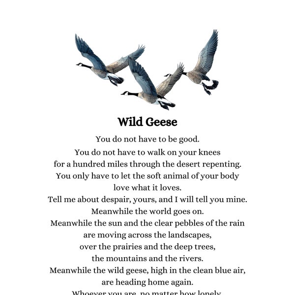 Wild Geese Poem von Mary Oliver Digitaldruck Sie müssen nicht gut sein Druckbare Geschenkidee für ihr minimalistisches Motivationsgedicht