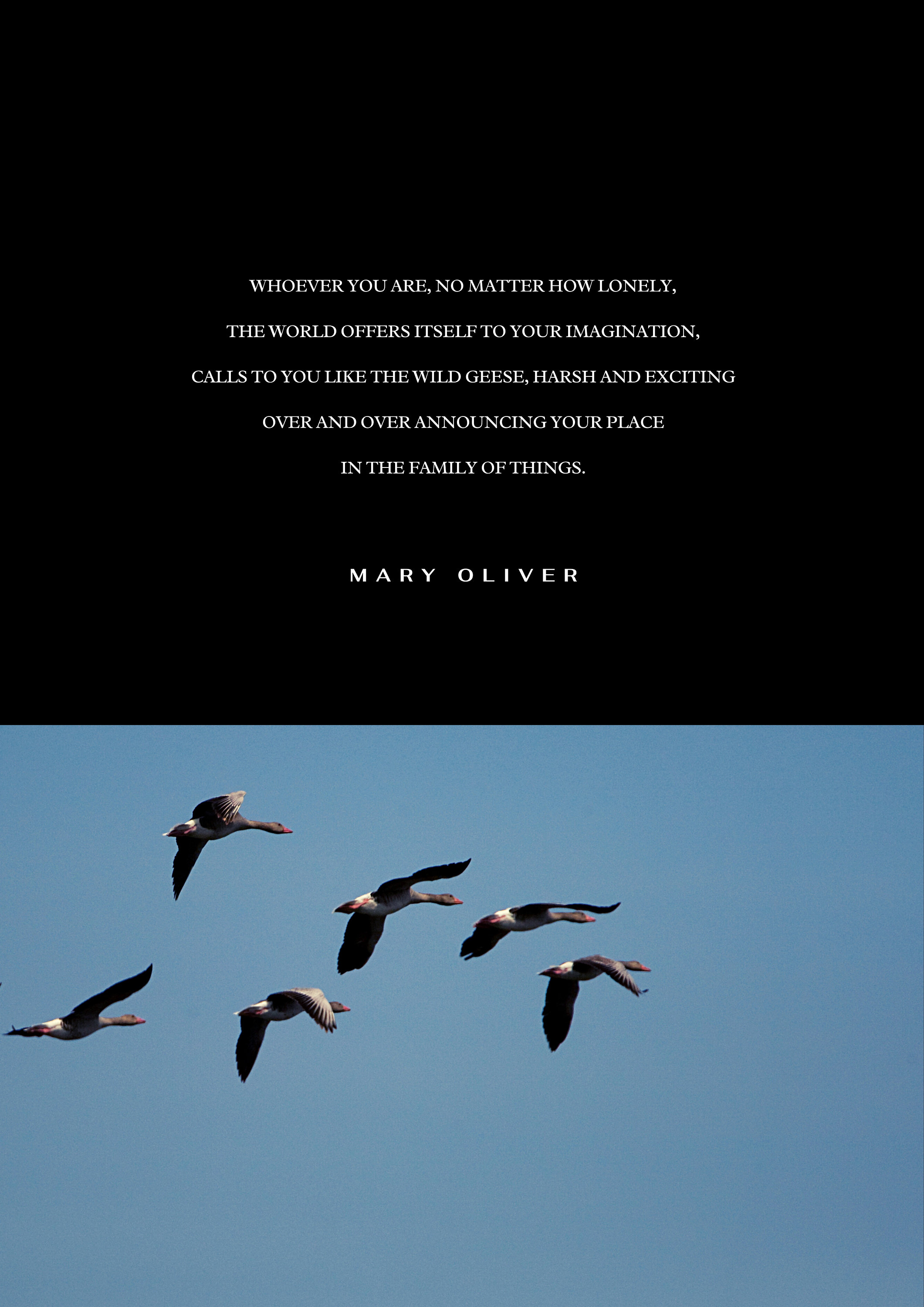 Wild Geese Mary Oliver Poem Print Wall Art Whoever You Are Digital Print Gift Idea for Her