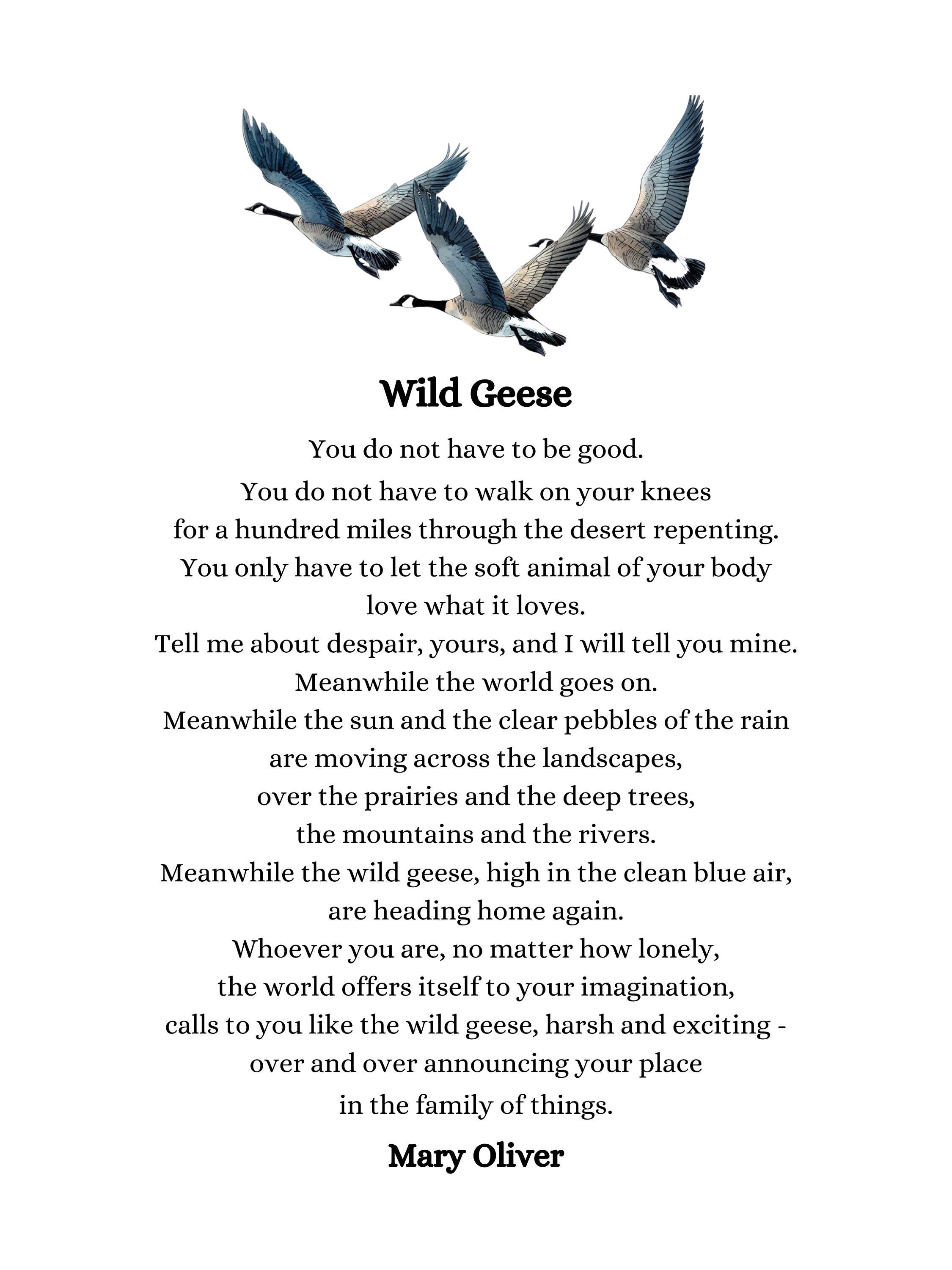 Geese By Mary Oliver Shop Www changeyourwindows geese-by-mary-oliver-shop-www-changeyourwindows