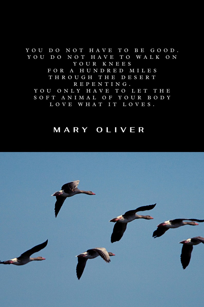 Wild Geese Poem by Mary Oliver Digital Print You Do Not Have Etsy