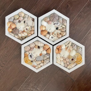 Sailors Valentine, Hexagon seashell art, seashell decor, seashell collage, beach house decor, coastal decor, seashell art, seashell plaque