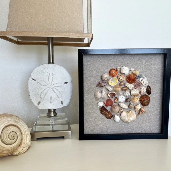 Seashell collage art, 12x12 seashell shadowbox, seashell mandala, seashell decor, seashell art mosaic, Florida seashell collection art