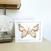 Seashell Butterfly, Seashell Collage Art, Seashell Shadowbox, Seashell ...