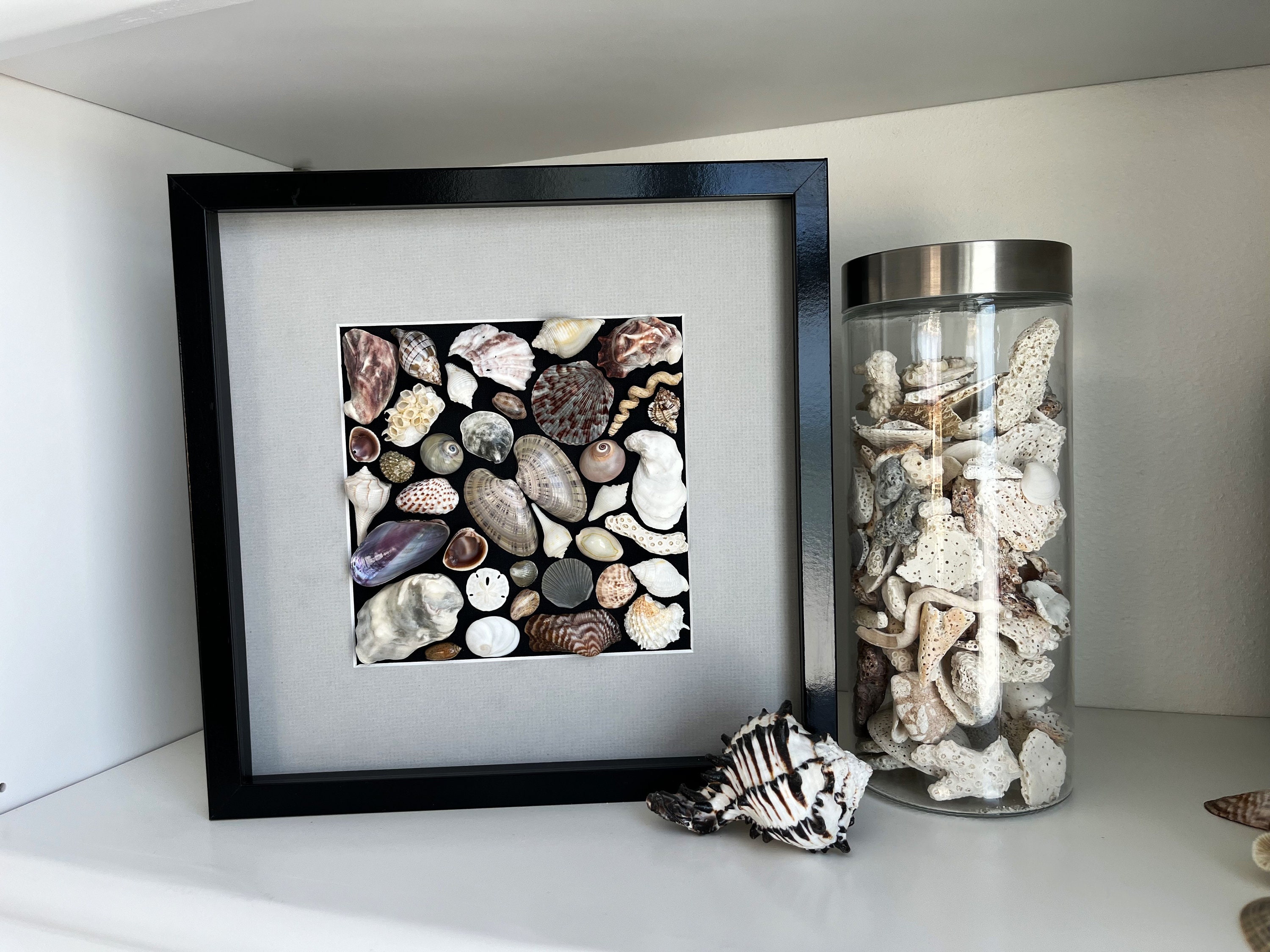 Shadowbox Shell Art, Mosaic Seashell Art, 12x12 Seashell Shadowbox ...