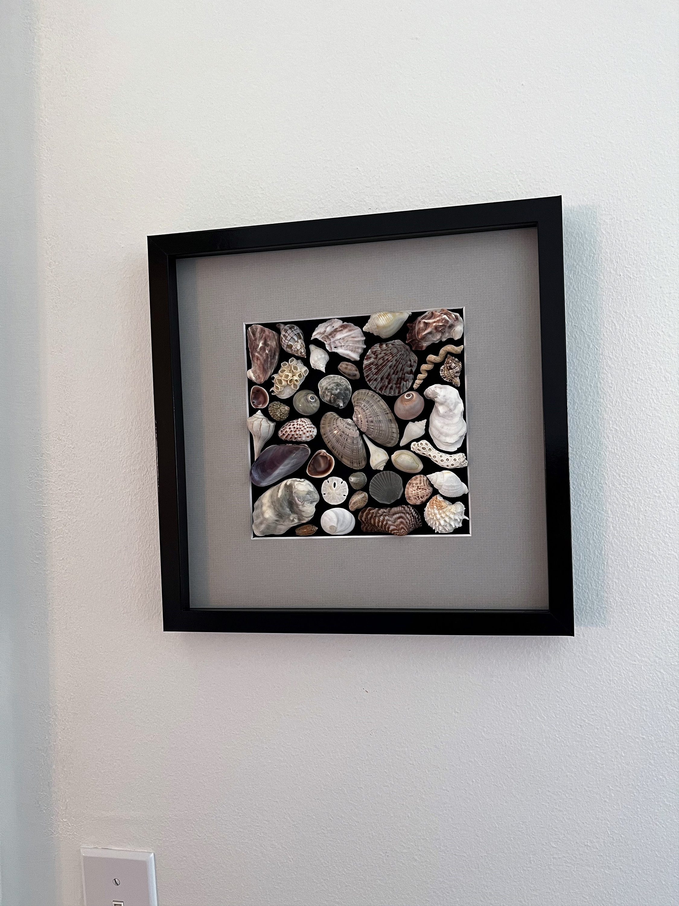 Shadowbox Shell Art, Mosaic Seashell Art, 12x12 Seashell Shadowbox ...