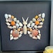 Seashell Butterfly, Seashell Collage Art, 12x12 Seashell Shadowbox ...