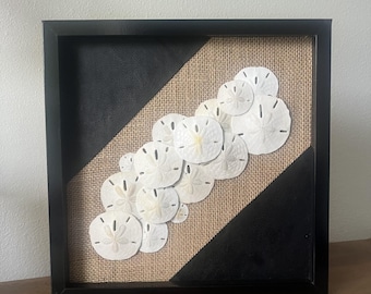 Sand Dollar art, Sand Dollar shadowbox, 12x12 seashell shadowbox decor, Sand Dollar wall art, Sand Dollar beach decor, modern coastal decor