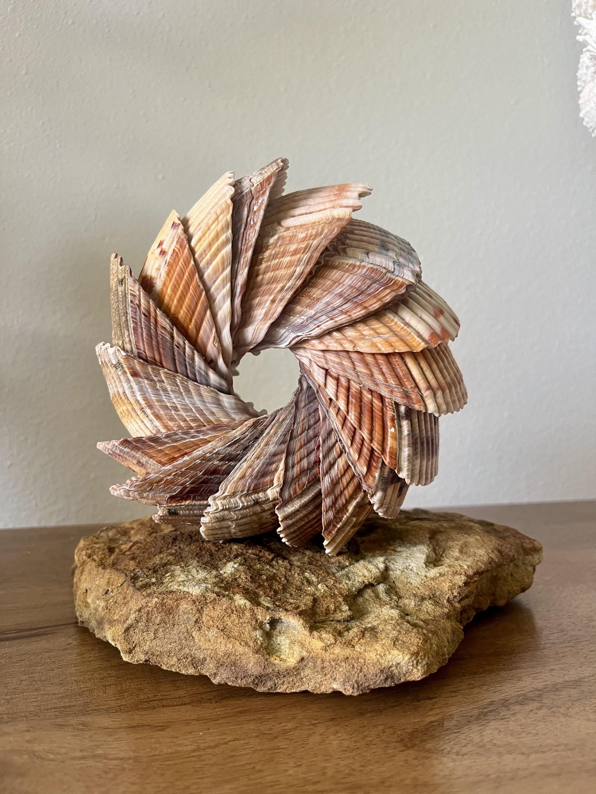 Shell Ring Decor, Giant Atlantic Cockle Shell Art, Cockle Shell