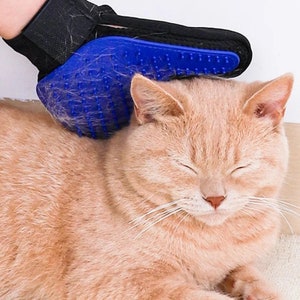 3 In 1 Cat Steamy Brush spazzola autopulente per cani e gatti a vapore per  massaggio pettine per la rimozione dei peli di cani e gatti spazzole per la  cura degli animali