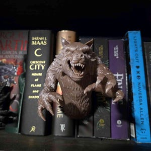 Könnte beinhalten: Eine braune Werwolf-Skulptur mit offenem Maul und sichtbaren Zähnen, an einem Bücherregal befestigt. Die Skulptur befindet sich vor mehreren Büchern mit Titeln wie "Crescent City" und "Lights Out". Das Gesamtthema ist Fantasy und Horror.