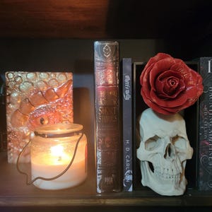 Gothic Skull Book Nook, A perfect booknook for your booktok buddy or dark romance reader, best for Halloween