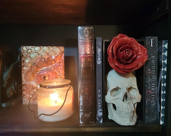 May include: A bookshelf with a skull, a red rose, and several books. The books include "Haunting Cadence" by JD Carlton, "The Horror Short Stories" by HD Carlton, and "Alice's Molly" by Pierce Molly. A candle is lit in a glass jar.