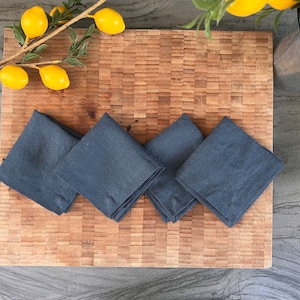Linen Cocktail Napkins - 100% French Linen -10 x 10 inch, Set of 4 or 2 - Stonewashed Pure Linen - Handcrafted- Great Gift (Indigo Blue)