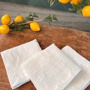 Linen Cocktail Napkins - 100% French Linen -10 x 10 inch, Set of 4 - Stonewashed Pure Linen - Handcrafted Cloth - Great Gift (White Alyssum)