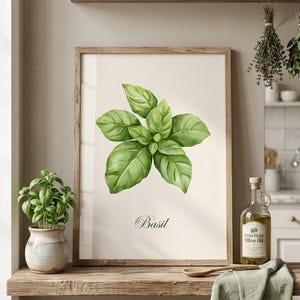 Botanical Basil Illustration Kitchen Wall Art Print Digital Download Herb Poster Minimalist Design Cooking Decoration Vintage Style