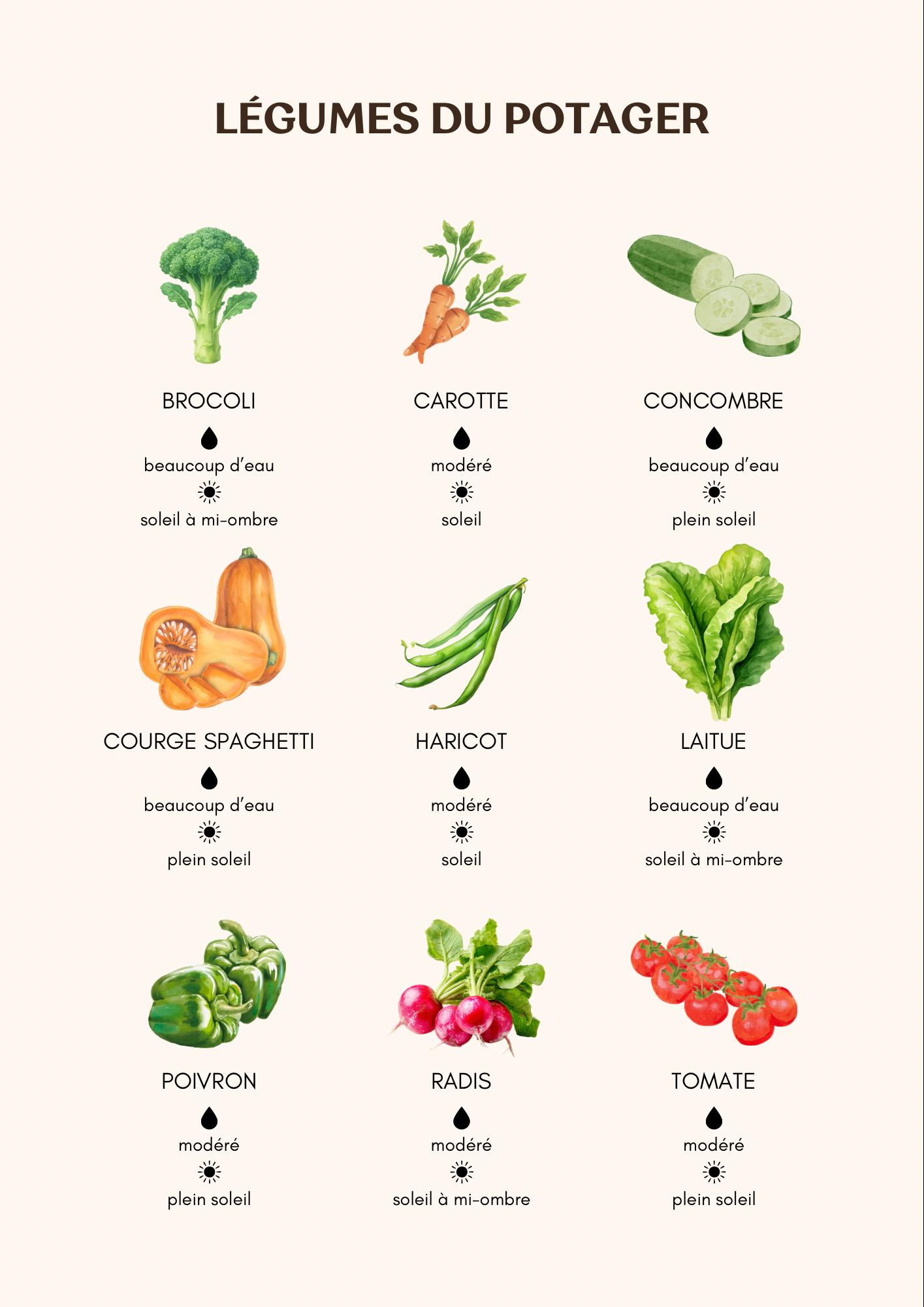 Plating Guide Reference Format Printable Vegetable Guide, Garden Reference Chart, Botanical and ...