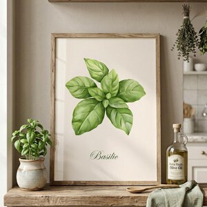 Peut inclure: Une impression encadrée à l'aquarelle de feuilles de basilic, intitulée "Basilic", est posée sur une étagère en bois. Un petit plant de basilic en pot et une bouteille d'huile d'olive sont également sur l'étagère. Des herbes séchées sont suspendues au-dessus.