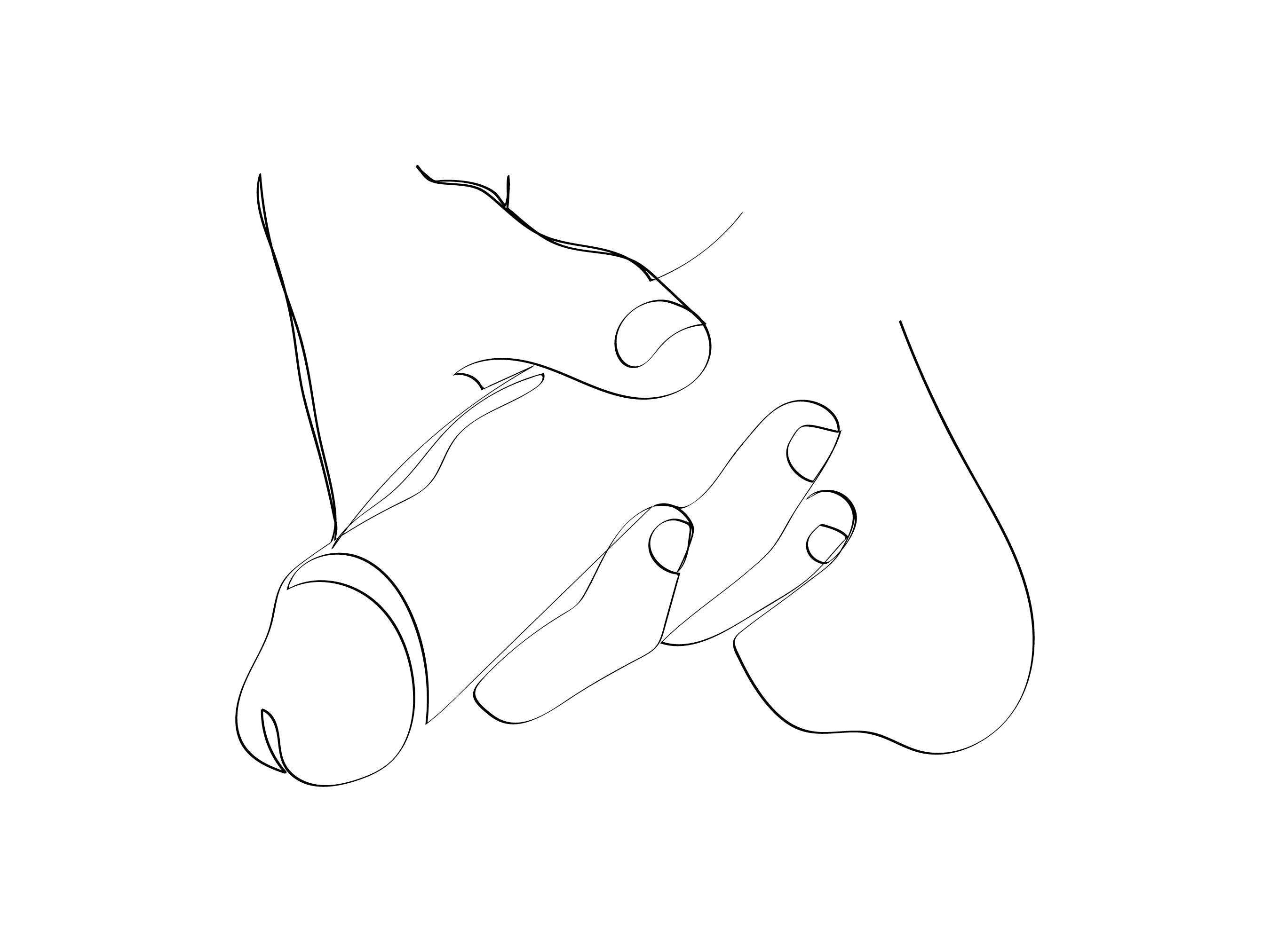No Drawing Penis
