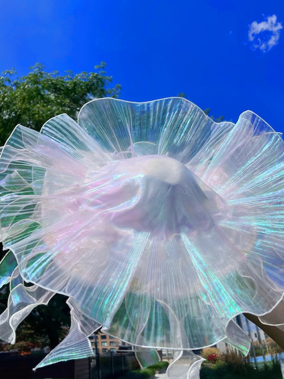 NO ROLL × WMEANS \"jellyfish hat\" NO ROLL × WMEANS jellyfish hat