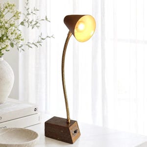 May include: A desk lamp featuring a dark brown wooden base with a rectangular shape and a metallic toggle switch. A flexible, coiled brass-toned neck extends upward to a conical, dark brown shade that emits a warm, bright light from within.