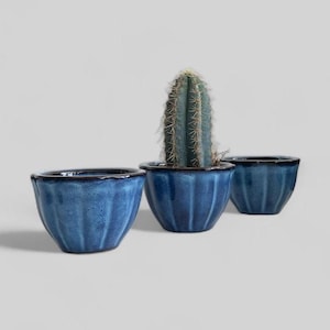 Handmade Cobalt Blue Ceramic Planter Set: Small Bonsai Succulent Pottery
