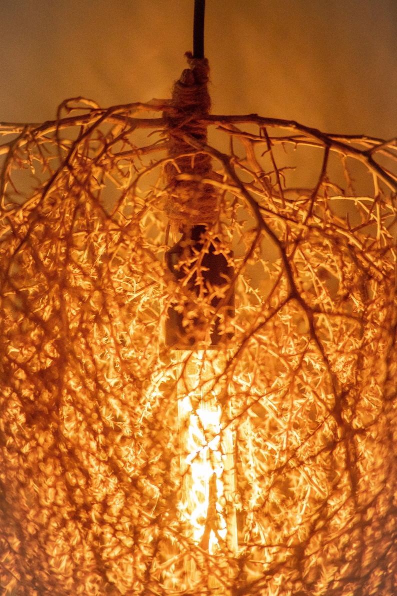 Small Tumbleweed Pendant Light, Chandelier, Lamp Lighting, Organic