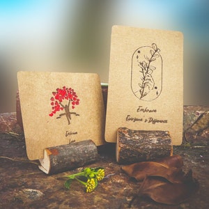 May include: Two brown cards with inspirational messages and illustrations. The first card features a tree with red hearts for leaves and the text "Embrace Love". The second card features a branch with leaves and the text "Embrace Everyone & Difference". Both cards are displayed on small wooden stands.